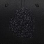 Keyed-Up Embroidered Cap