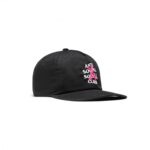 Assc Cancelled Paint Cap