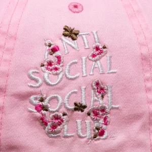 Assc Embroidered cap – Pink